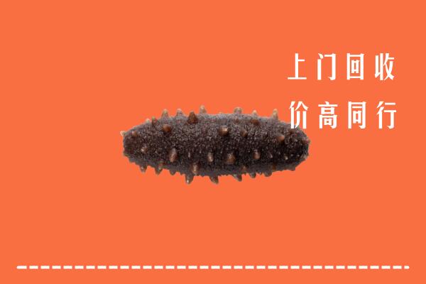新田县回收海参